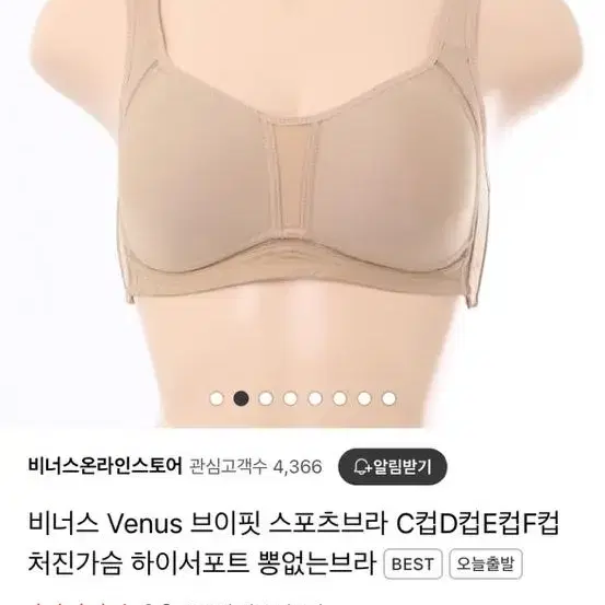 비너스 브이핏브라 70 E컵