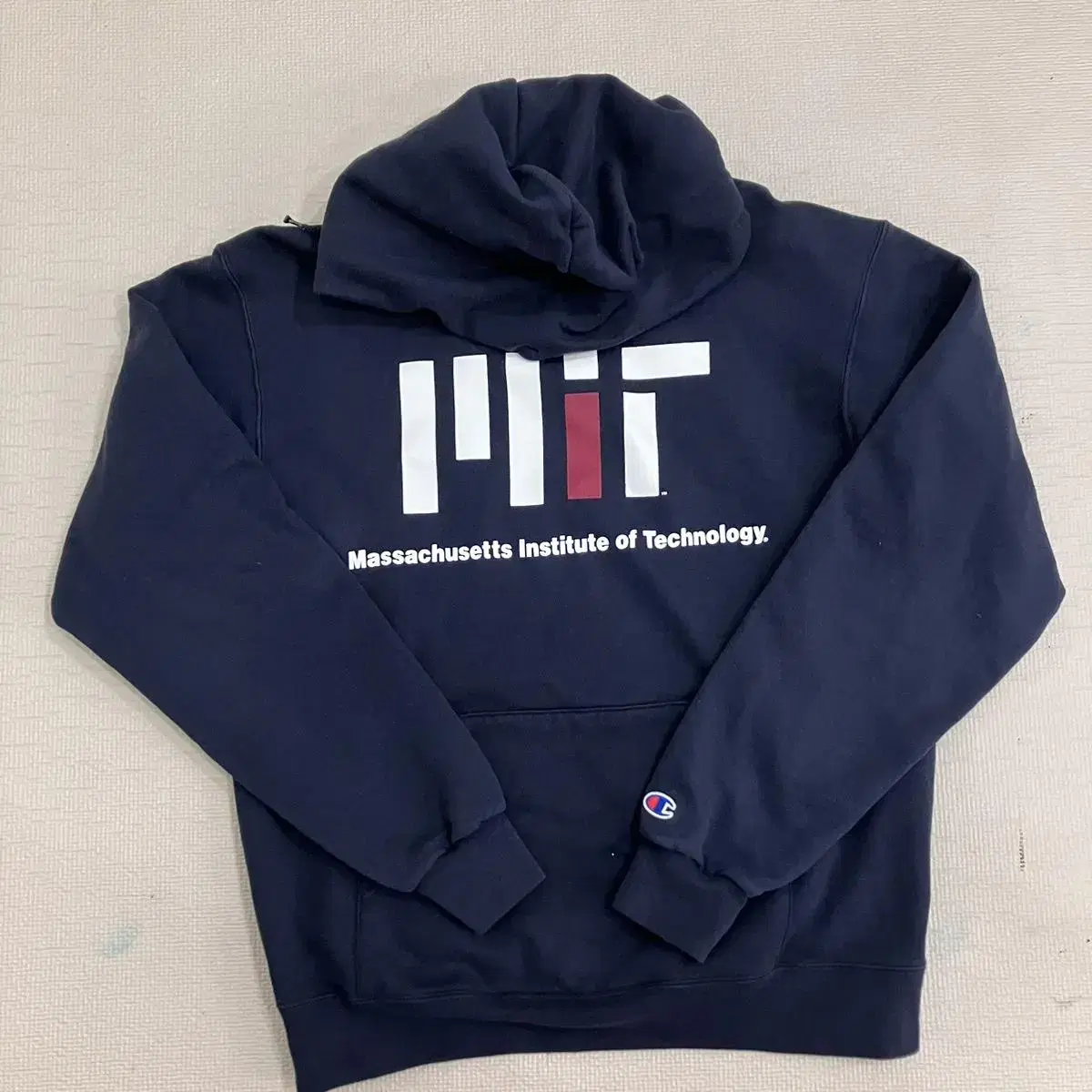 Champion MIT Hood M