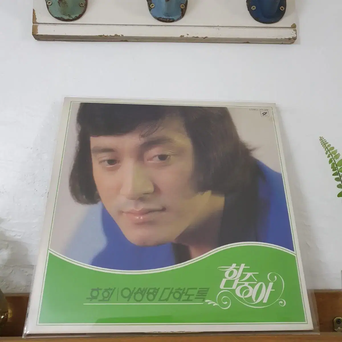 함중아 LP  1982  후회   이생명다하도록