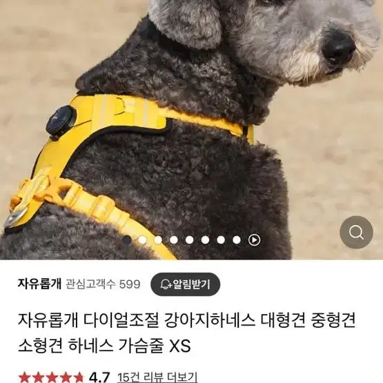 자유롭게 강아지 하네스 강아지 목줄 가슴줄