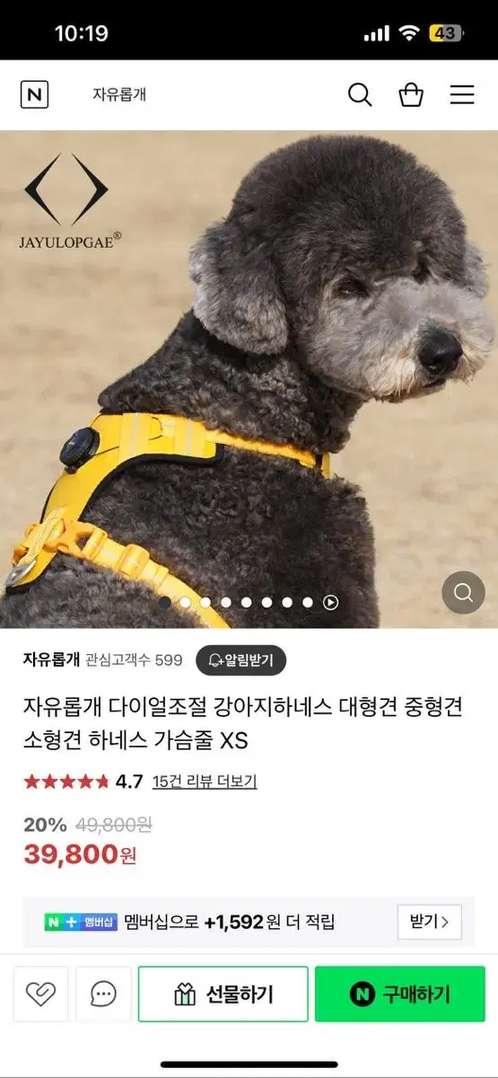 자유롭게 강아지 하네스 강아지 목줄 가슴줄