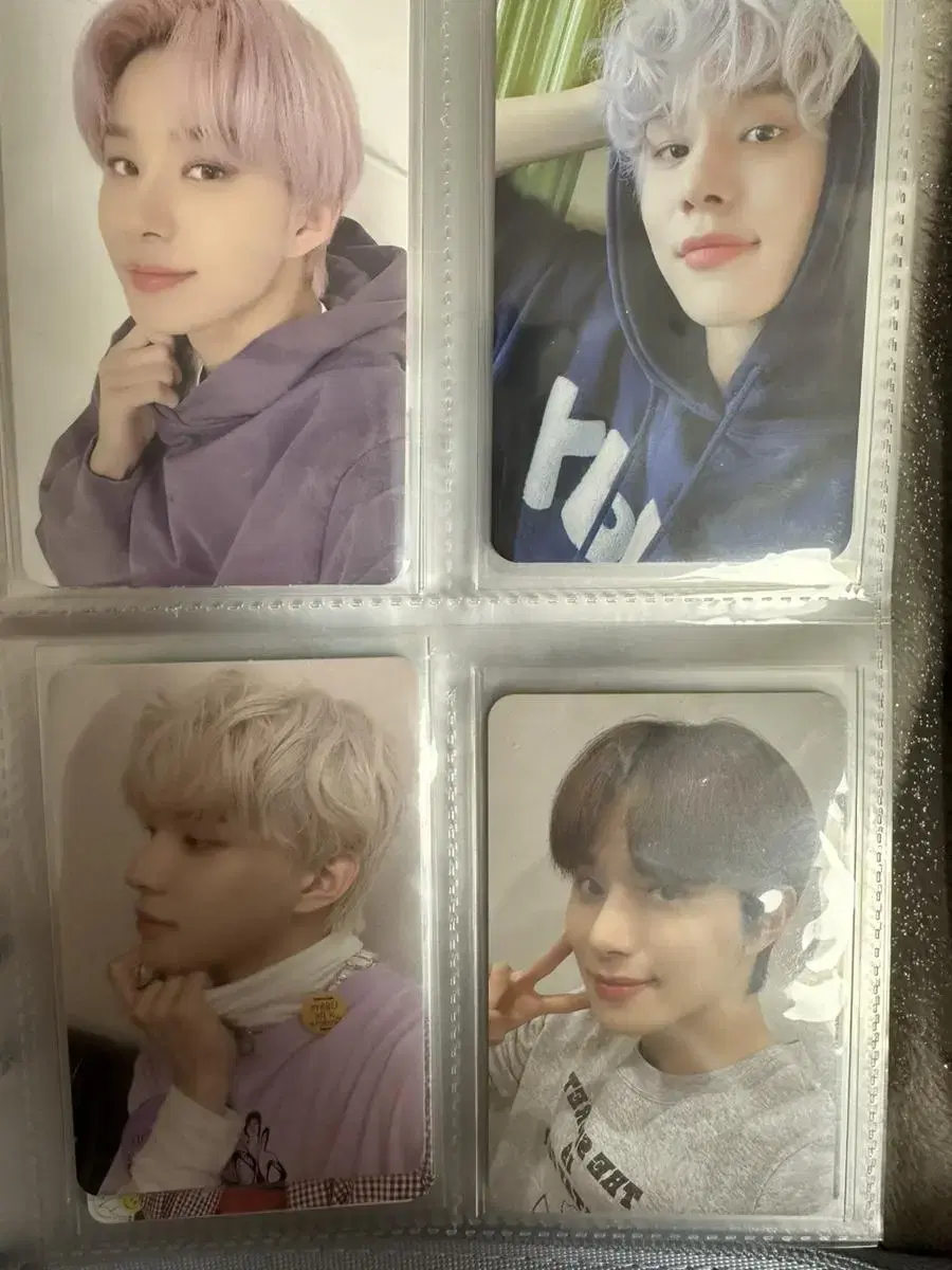 jungwoo photocard 40장 bulk sell해요 뽀정 핫정