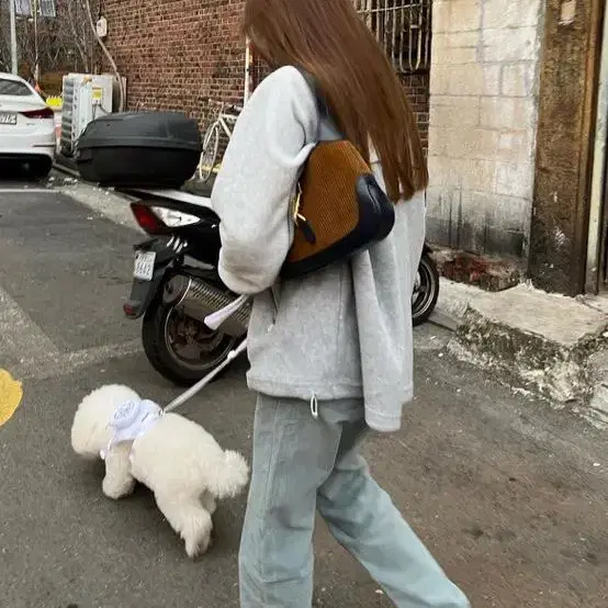 (구해요) 시시아사우르스 벨벳 팬츠