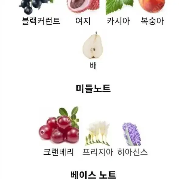 에스카다 이비자 히피 2003- 에스까다 향수