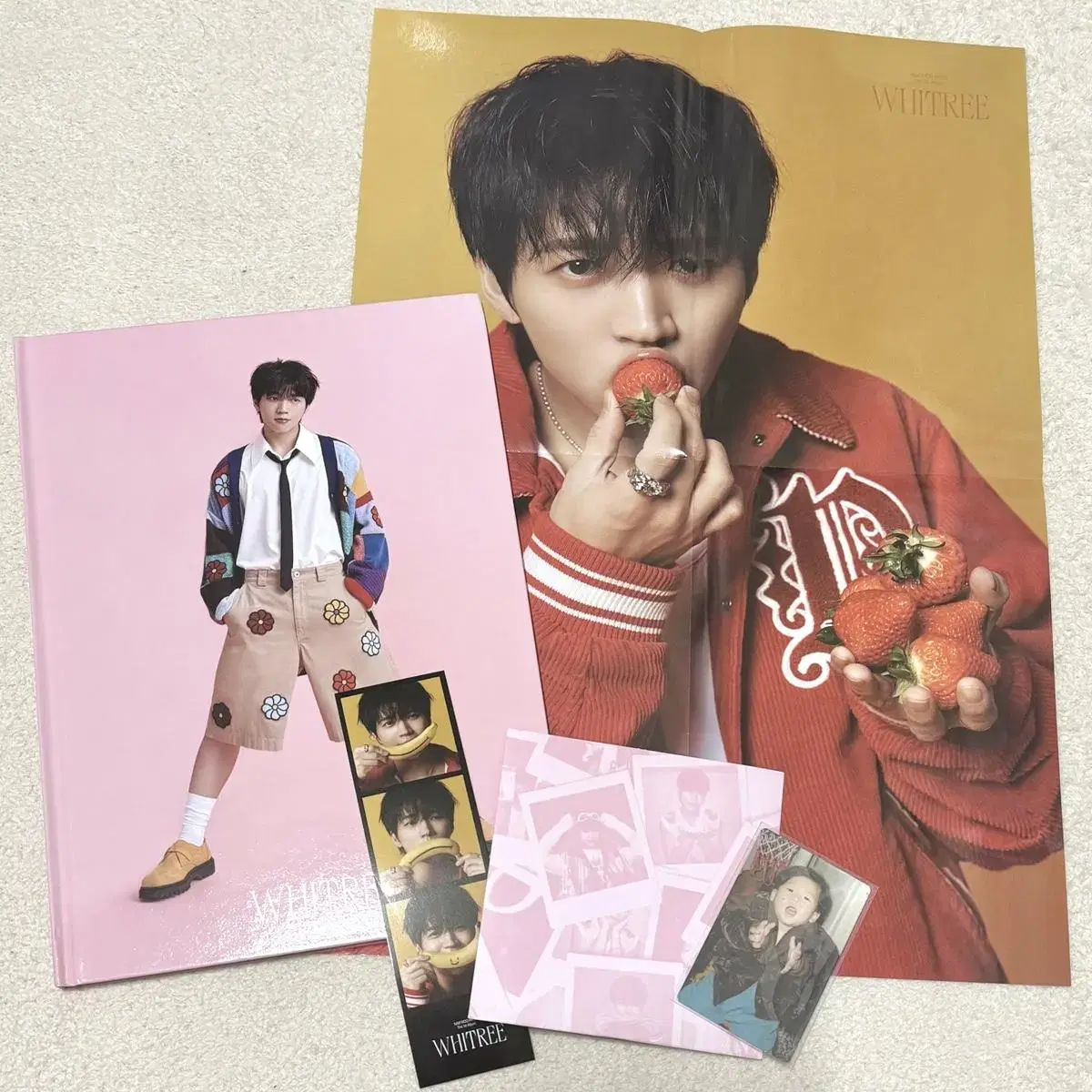 무료나눔) 남우현 BABY BABY 정규1집 앨범 애기포카구성