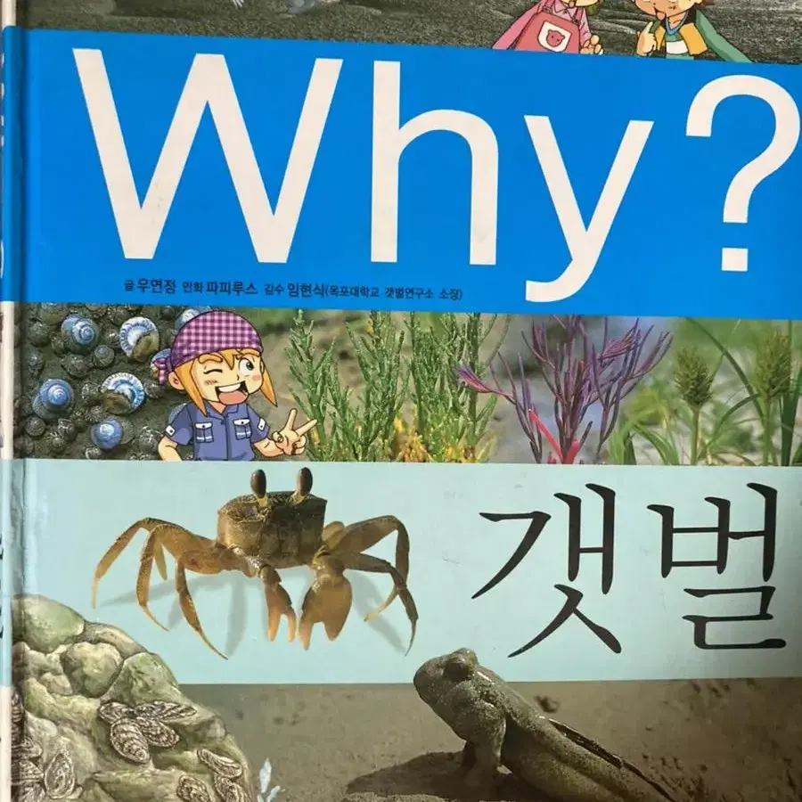 why 갯벌 환경 2권 일괄 아동만화 와이 만화