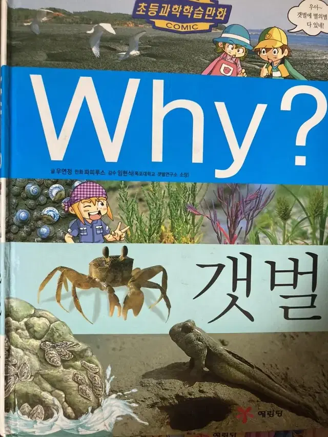 why 갯벌 환경 2권 일괄 아동만화 와이 만화