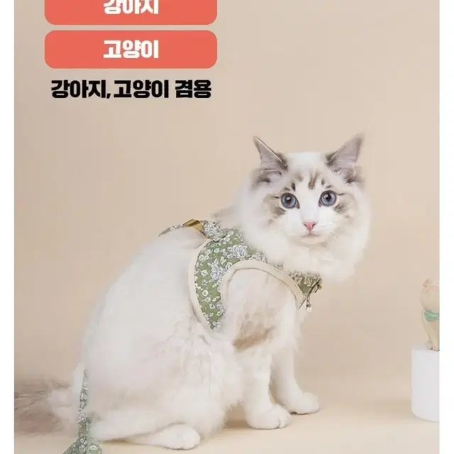 고양이 강아지 하네스 판매합니다