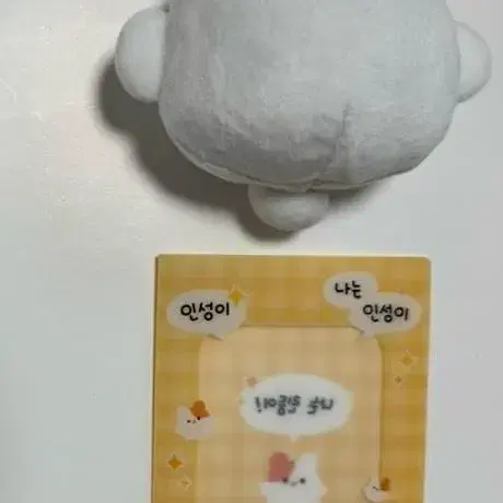 린둥이 sf9 인성 10cm 인형 양도