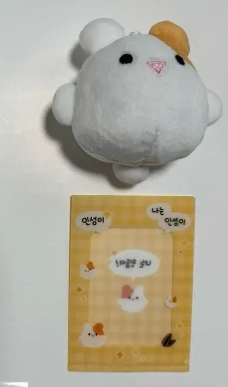 린둥이 sf9 인성 10cm 인형 양도