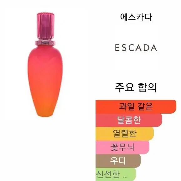 에스까다 트로피칼 펀치 2001한정판 에스카다향수