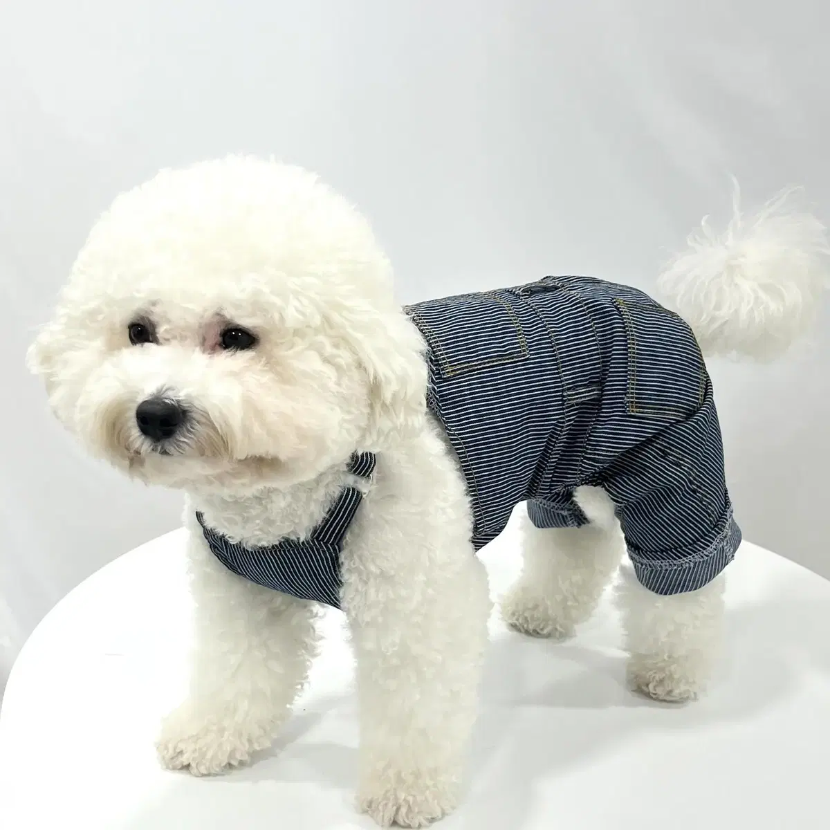 (S~2XL) 데님스트라이프 소형견청바지 강아지멜빵바지 강아지바지