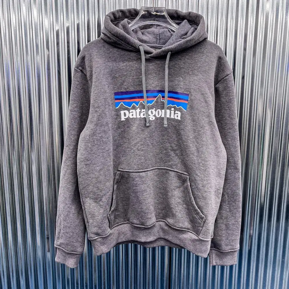 Patagonia P-6 Hoodie (Domestic L) A345