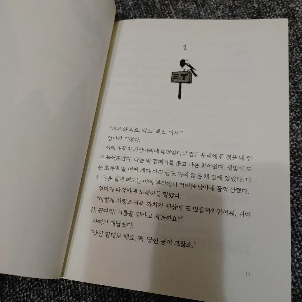 청소년 문학 도서 책 맏이 문학 소설