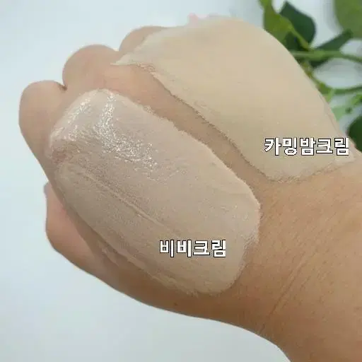 르네셀 플라센 BB크림