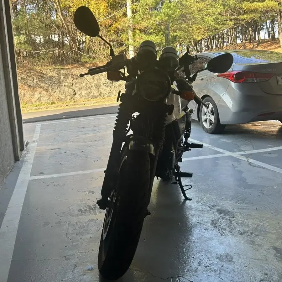 그리폰 125cc