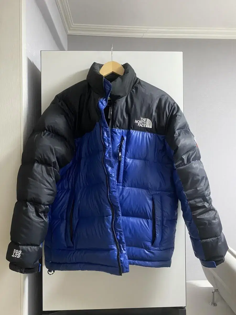 The North Face Summit Series 900LTD Padded Size L