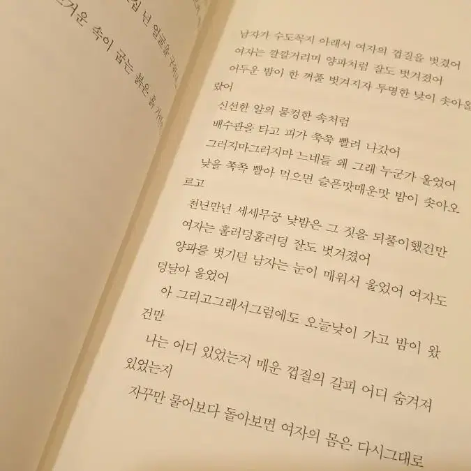 김혜순 시집 당신의 첫