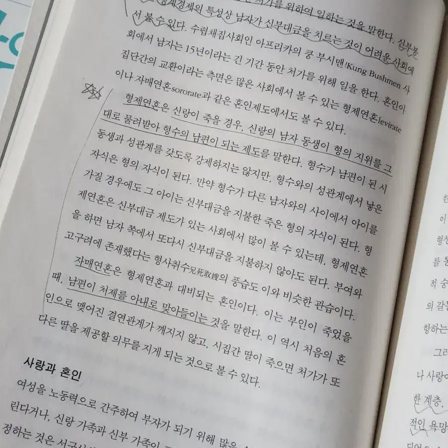 처음 만나는 문화인류학 일조각