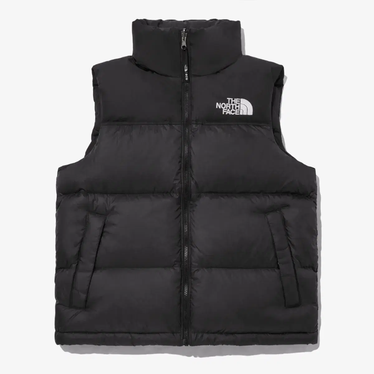 The North Face Men's 1996 Ekonopsi Vest(NV1DP55A)