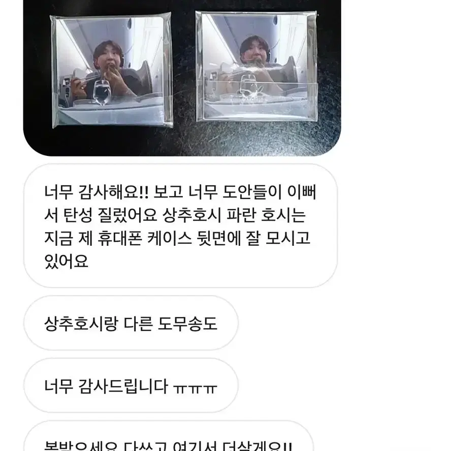 세븐틴 비공굿 도무송 에스쿱스 원우 호시