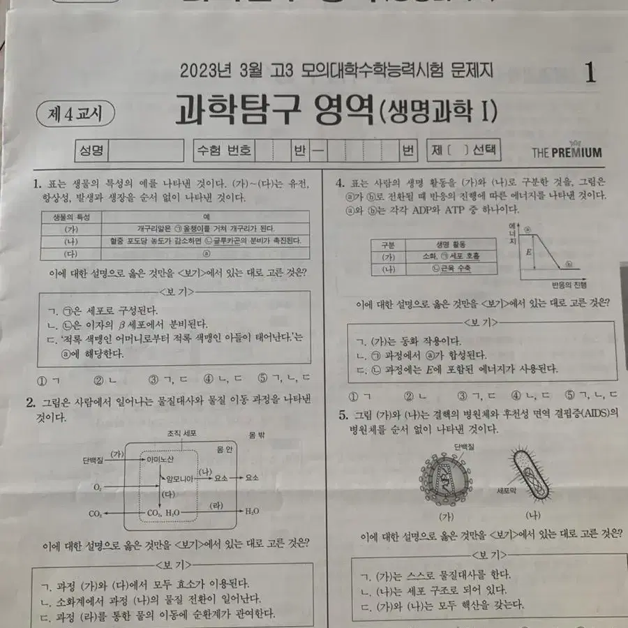 강대k 과학 과탐 더프 모의고사