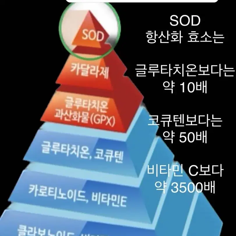 슈퍼푸드 마키베리 농축액으로 만든 "퀴아리 프라임 젤" 판매합니다.