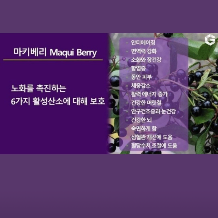 슈퍼푸드 마키베리 농축액으로 만든 "퀴아리 프라임 젤" 판매합니다.