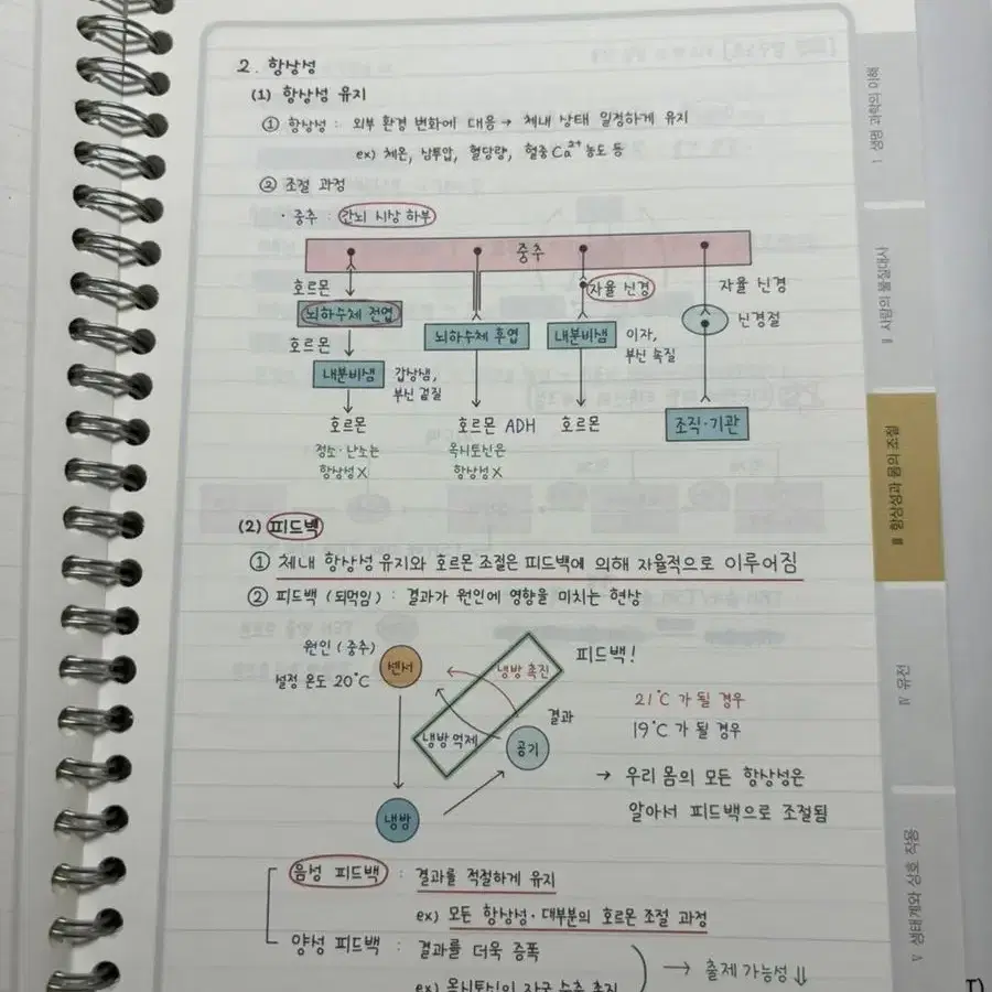 백호 2023 생명과학(숙제교재+개념완성)