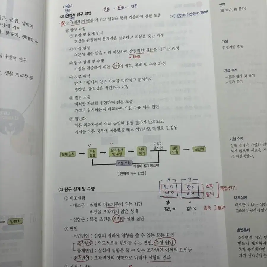 2023 백호 개념완성