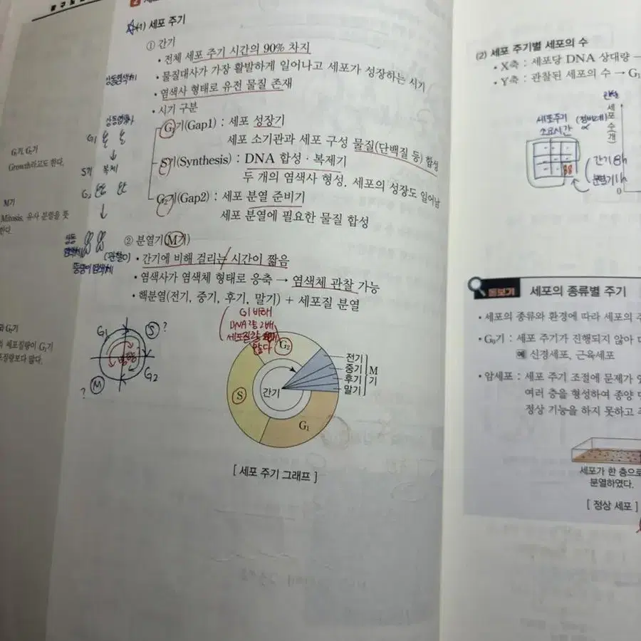 2023 백호 개념완성