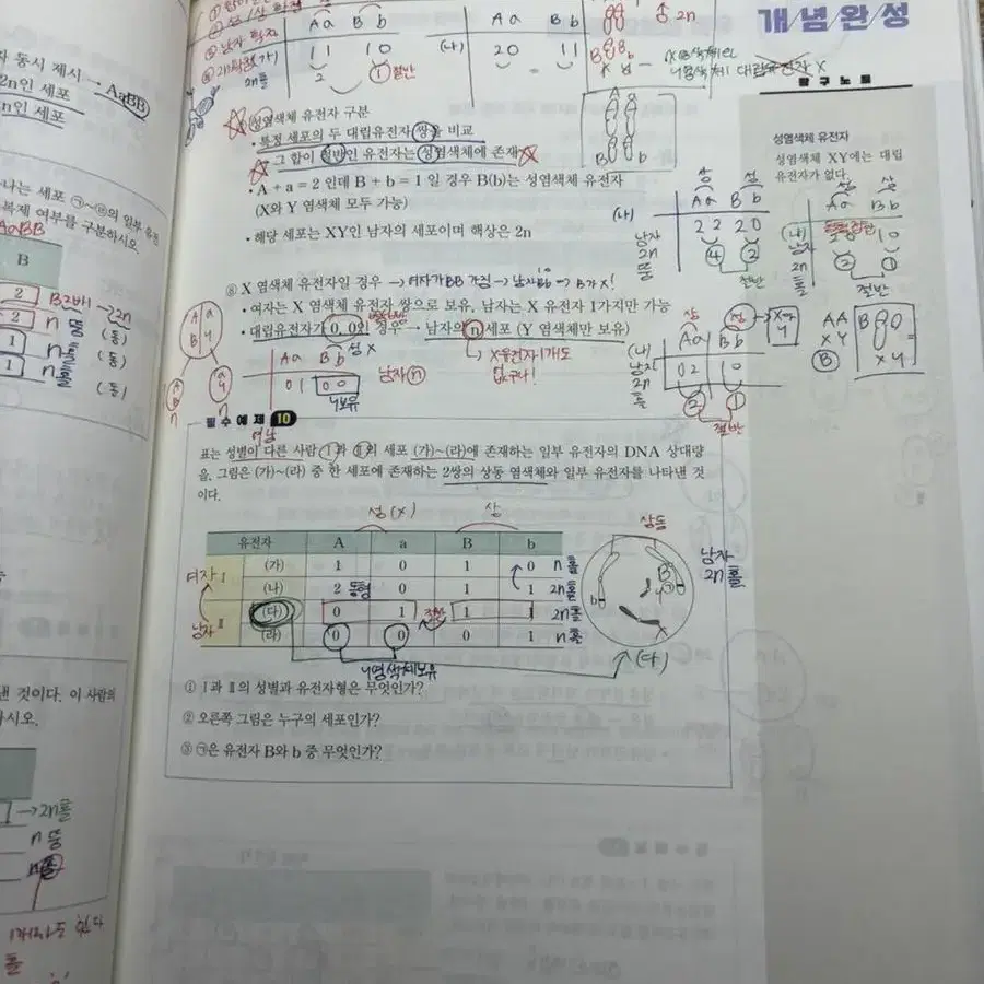 2023 백호 개념완성