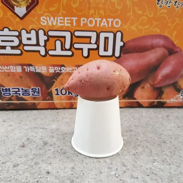 주말특가 당진호박고구마