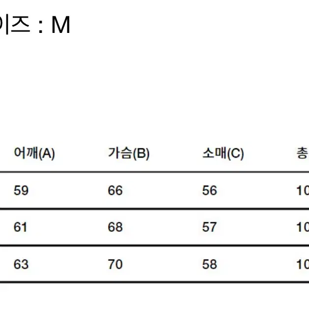 벌스데이수트 크링클 파카