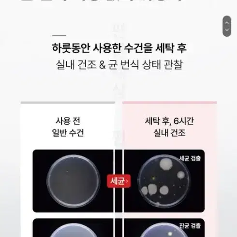 [뷰레카 미주Pick] 시루콧토 페이셜 타월 40P