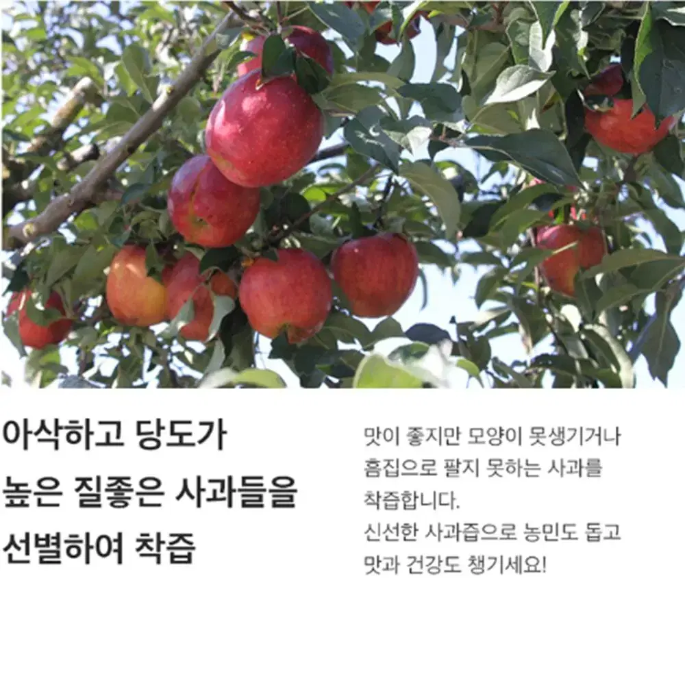 어린이 25포 사과즙 / 아이 건강 간식 생즙 생사과즙 음료수 선물세트