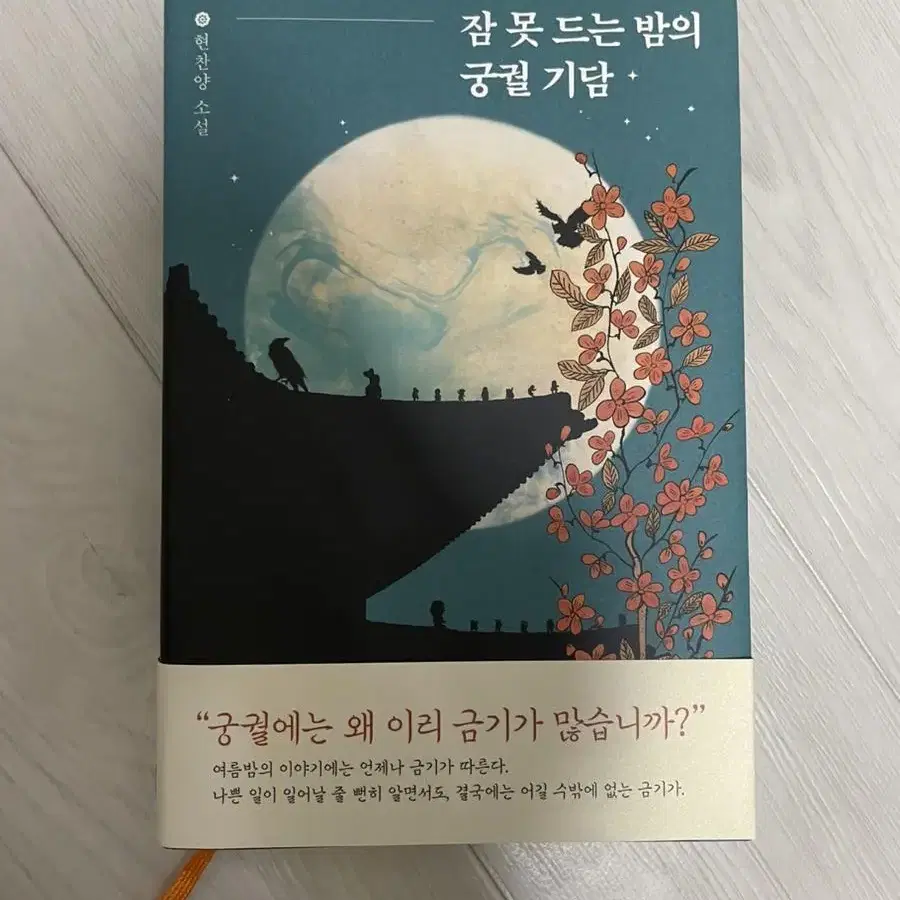 잠 못 드는 밤의 궁궐 기담 (소설책)