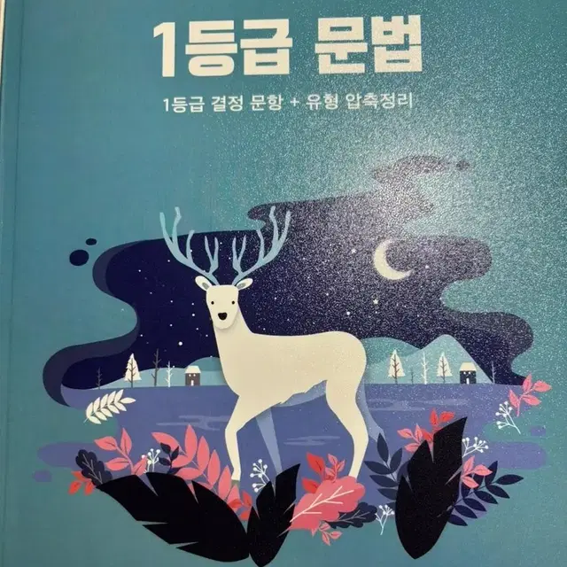 1등급 국어 문법 총정리집