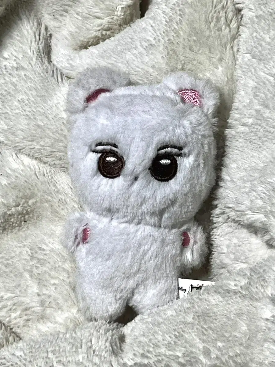 급처) aespa ningning doll 늉늉이 wts