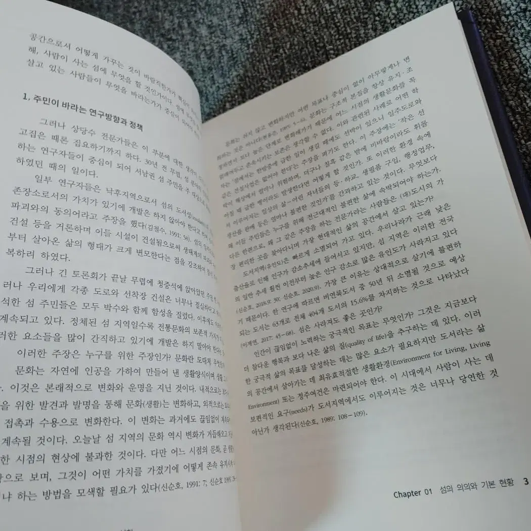 행정학 대학 전문서적 사회과학 섬 정책의 현재와 미래 도서 책