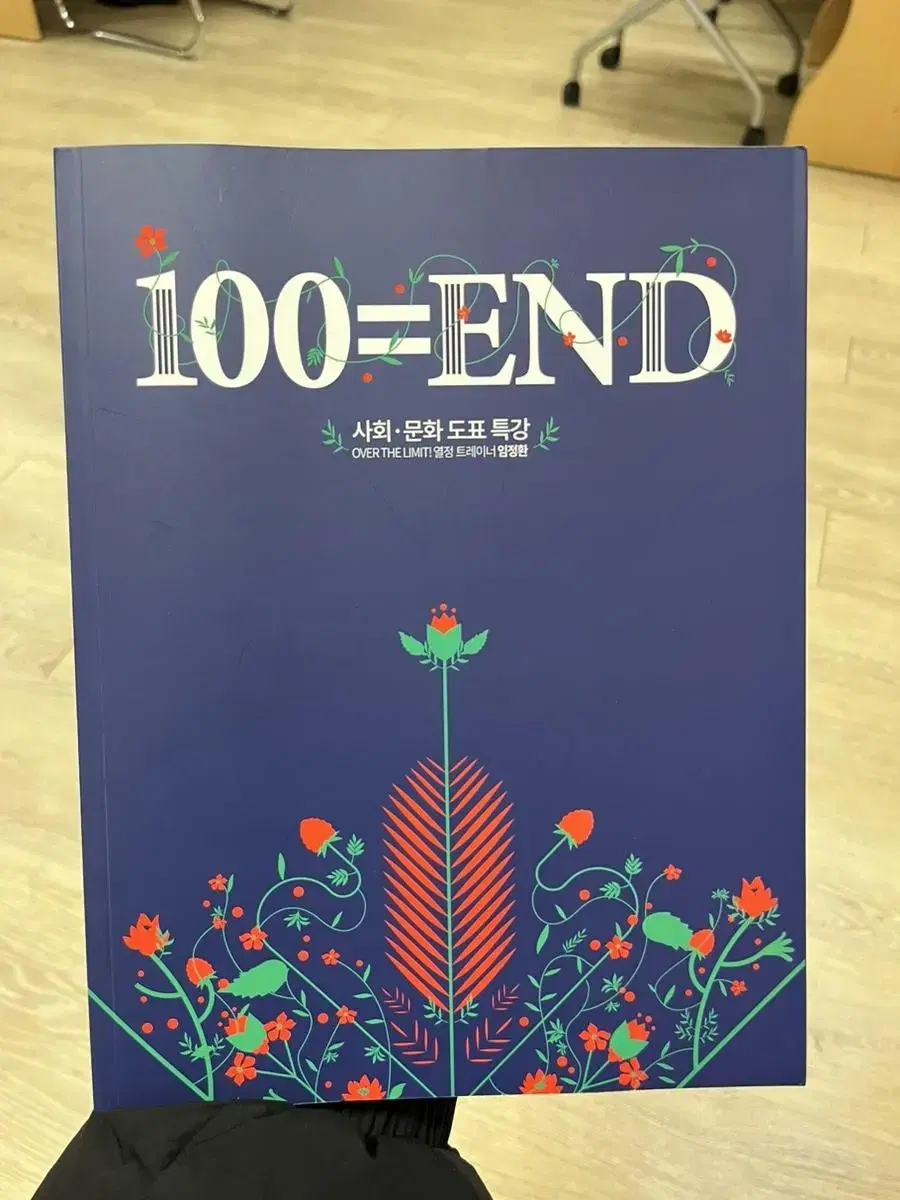 대성마이맥 임정환 100=END 도표특강 2024 새상품