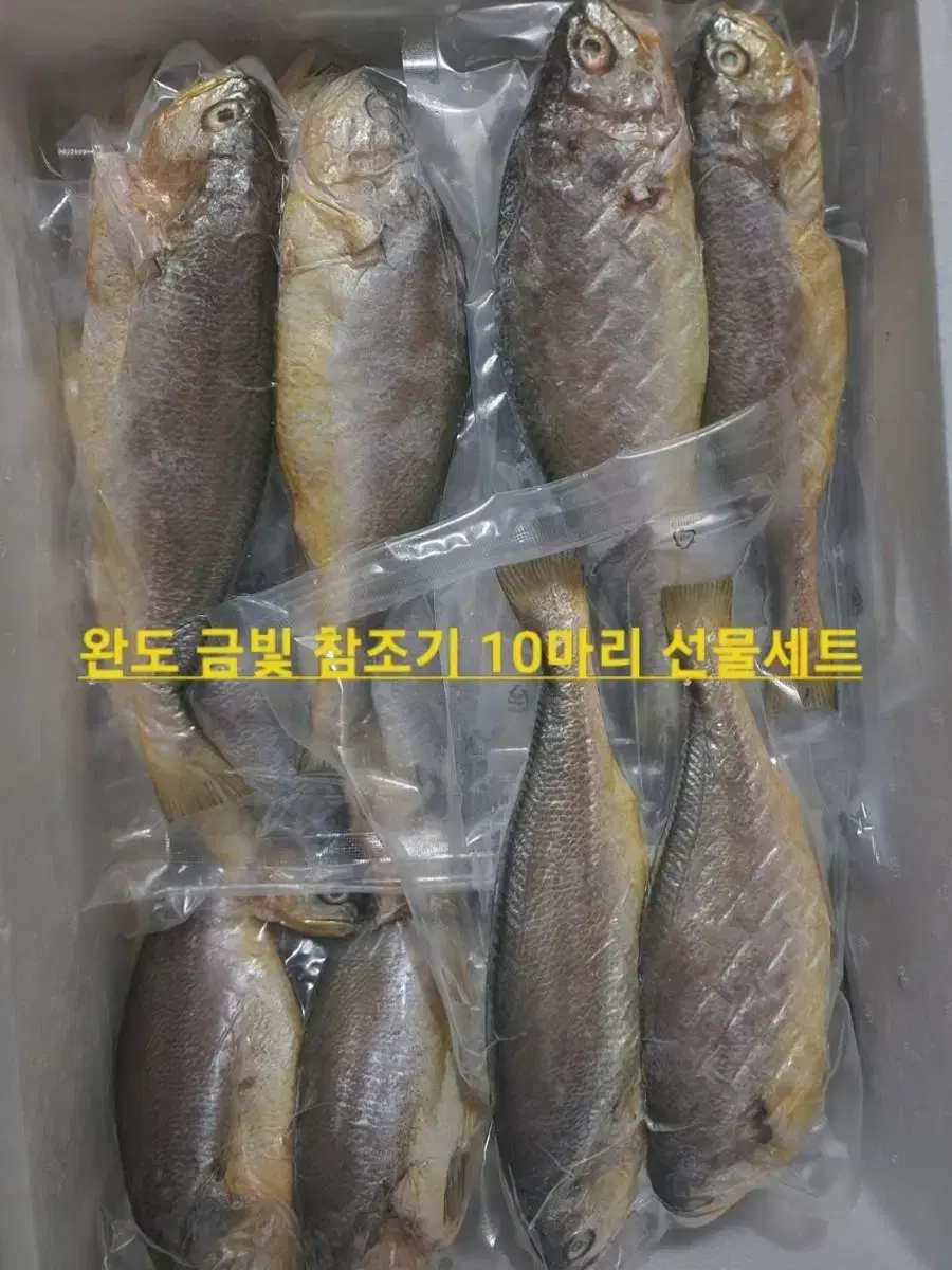 굴비 뺨치는 완도 손질 조기 10마리 선물세트