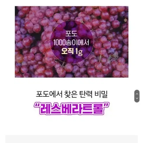 성분에디터 머루포도 비타C 다크 스팟 크림 50ml 미백특허 잡티크림새