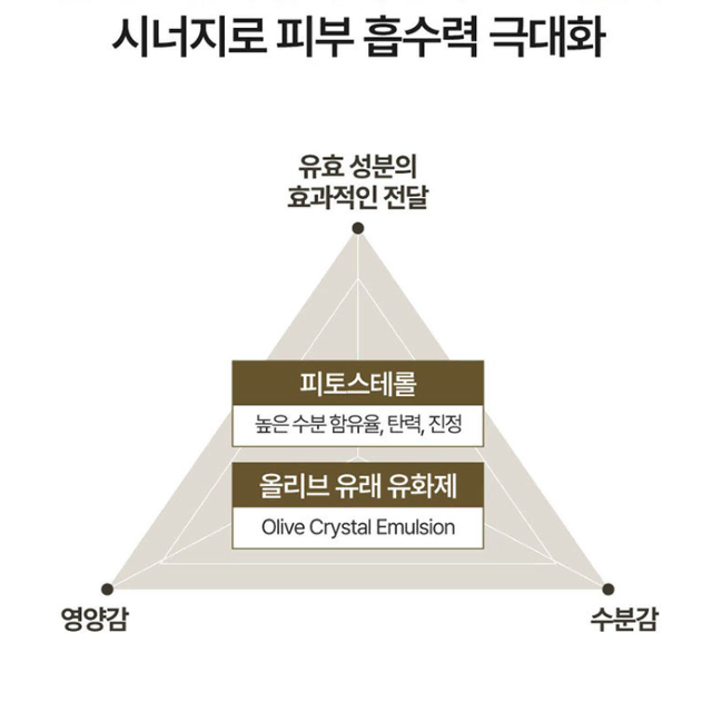 [에스까다] 턴에이지 아이크림 50ml / 엄마 명절 생일 선물