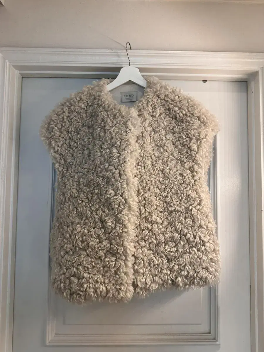 Faux Poggle Fur Vest Vest