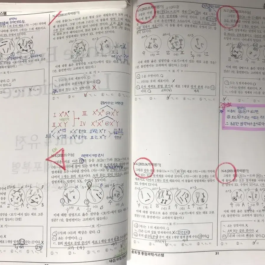 윤도영 생명과학 올어바웃 & 인피니트 에볼루션