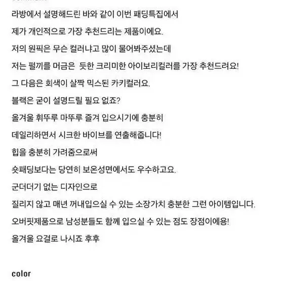 덕다운 오버핏 패딩