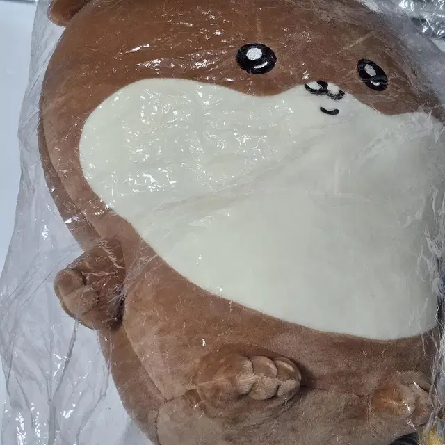 일괄) 치이카와 농담곰 나가노 수달 B상 D상