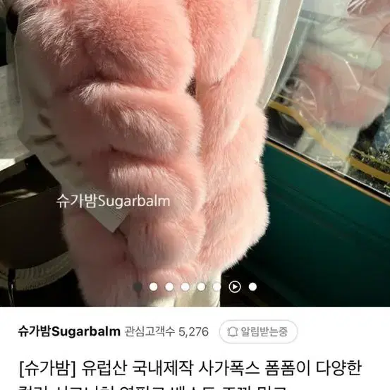 로얄등급 사가폭스퍼 베스트 핑크