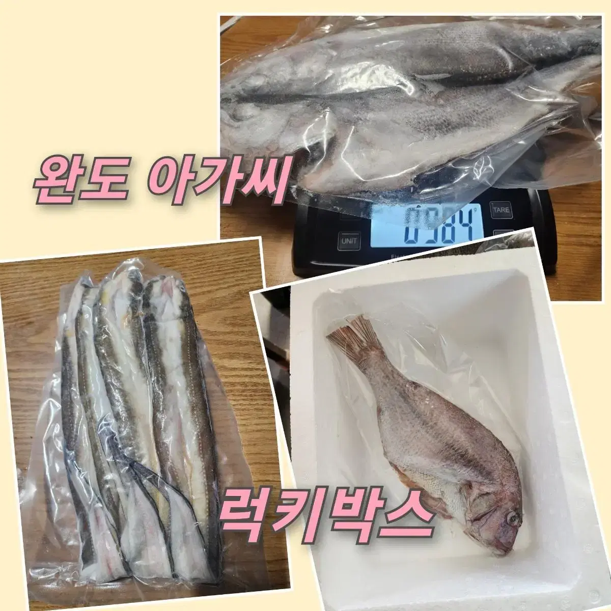 장어 중 1팩+도미 대 1마리+ 농어 특대 1마리